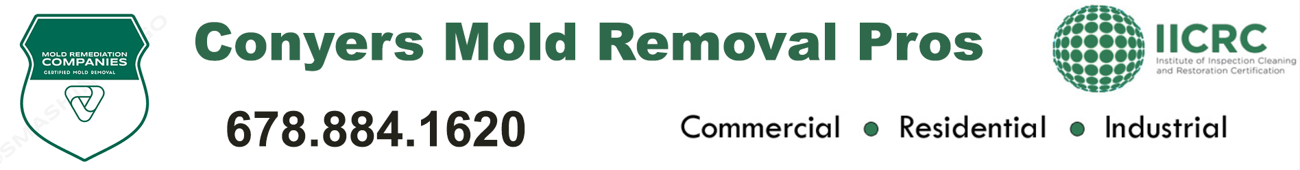 Conyers Mold Removal Pros